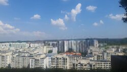 Woods Square (D25), Office #456312811
